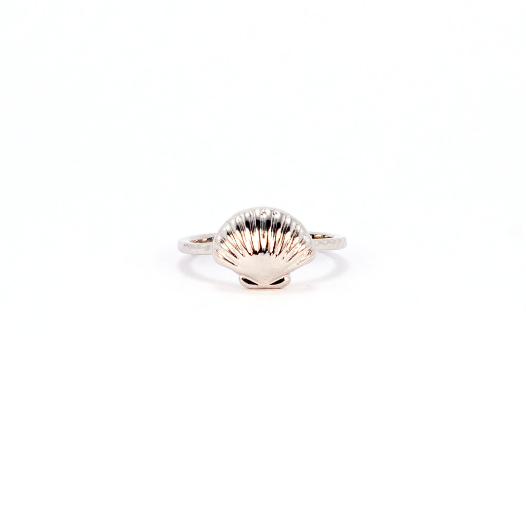 Seashell Ring  - Silver